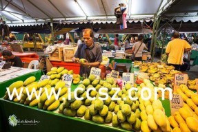 国产精品香蕉在线